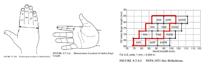 structural_glove_sizing_chart.jpg